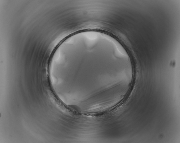 X0000111241226200907231520