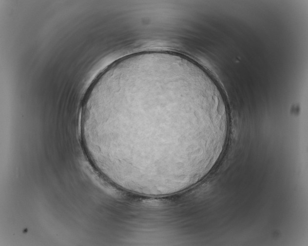 X0000111241227200907231520