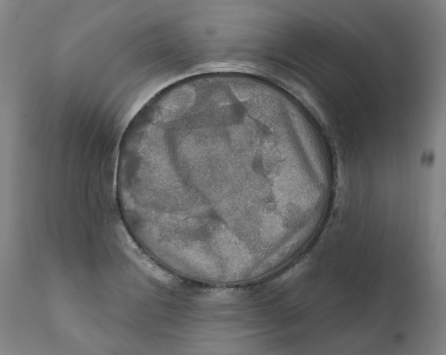 X0000111241228200907231520