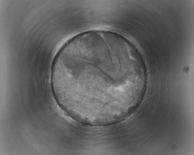 X0000111241232200907231520