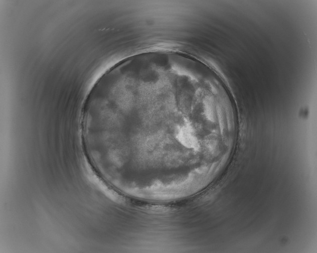 X0000111241235200907231520