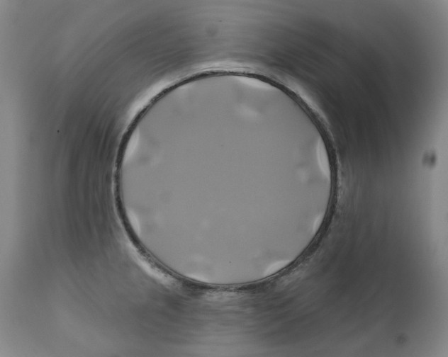 X0000111241237200907231520