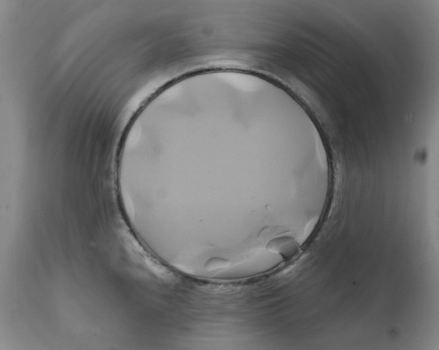 X0000111241240200907231520