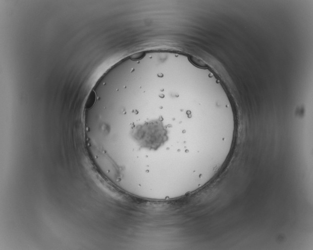 X0000111241242200907231520