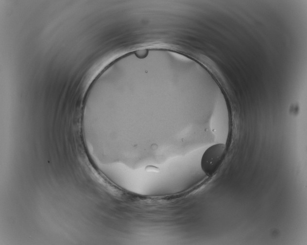 X0000111241244200907231521