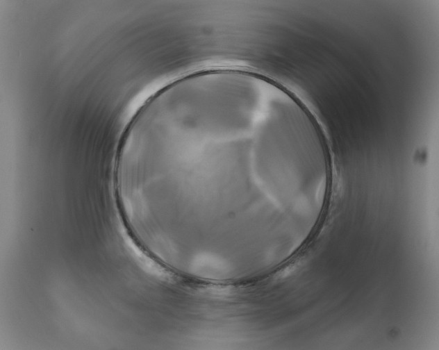 X0000111241245200907231521