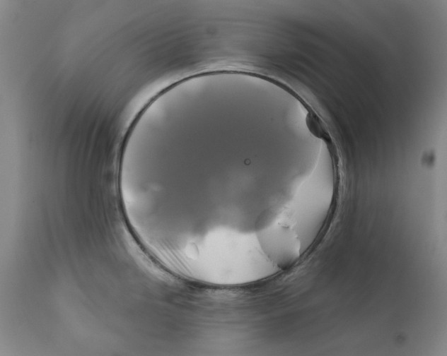 X0000111241246200907231521