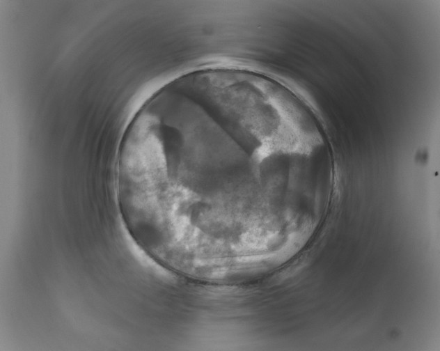 X0000111241247200907231521