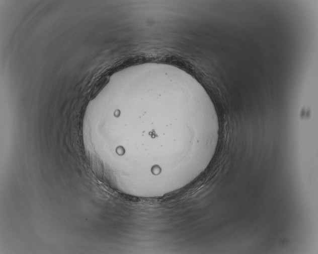 X0000111241249200907231520