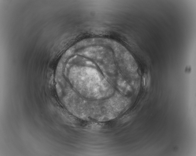 X0000111241251200907231520