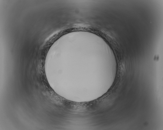 X0000111241254200907231520