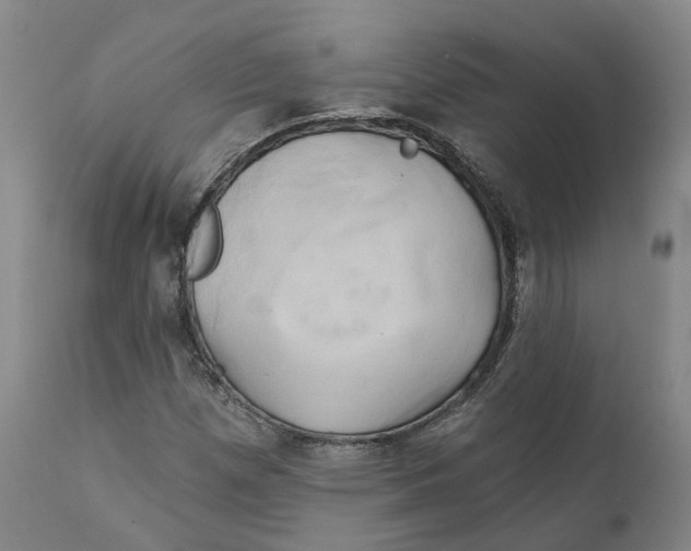 X0000111241257200907231520