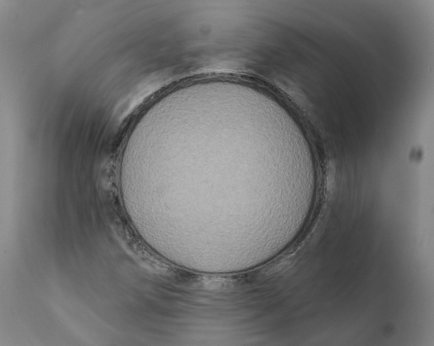 X0000111241258200907231520