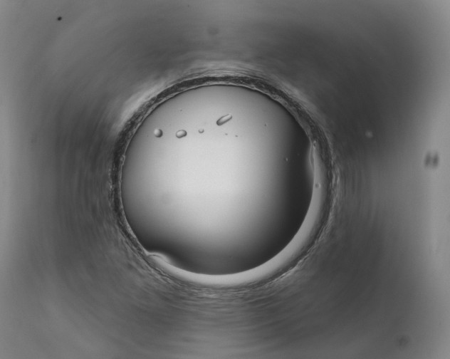 X0000111241261200907231520