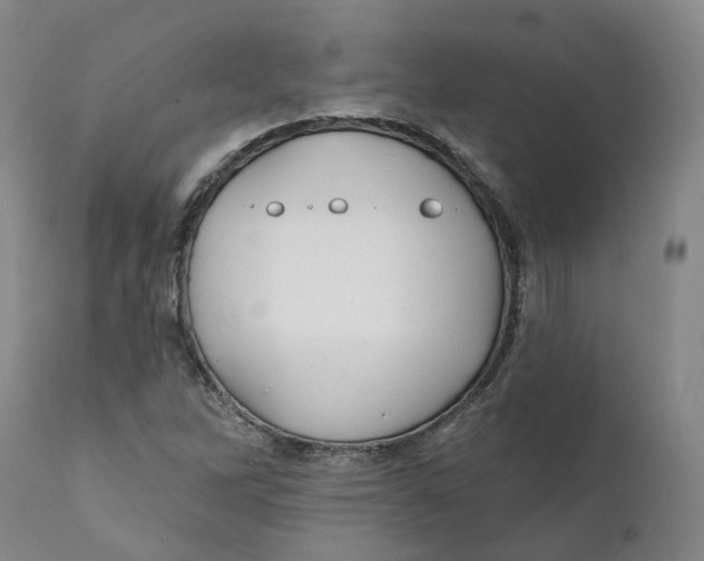 X0000111241262200907231520