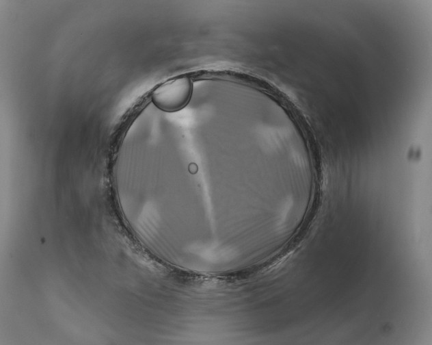 X0000111241263200907231520