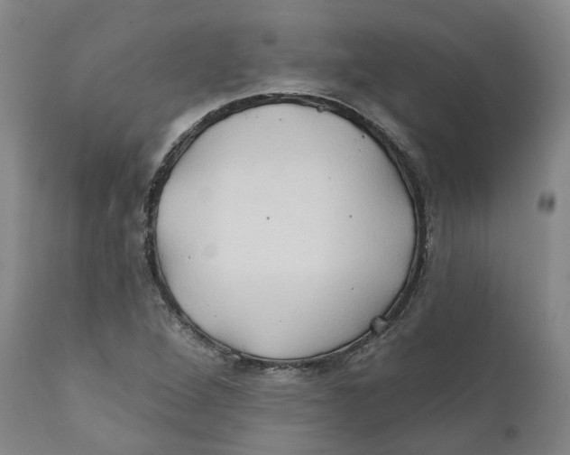 X0000111241264200907231520