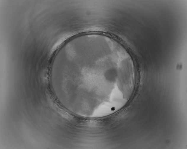 X0000111241266200907231520