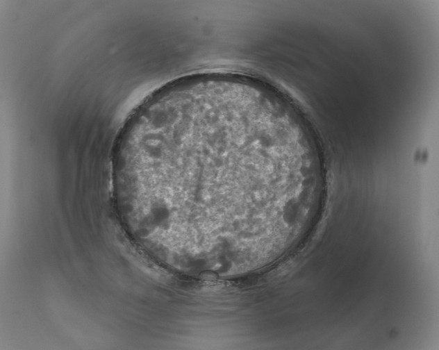 X0000111241267200907231519