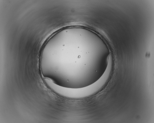 X0000111241268200907231519