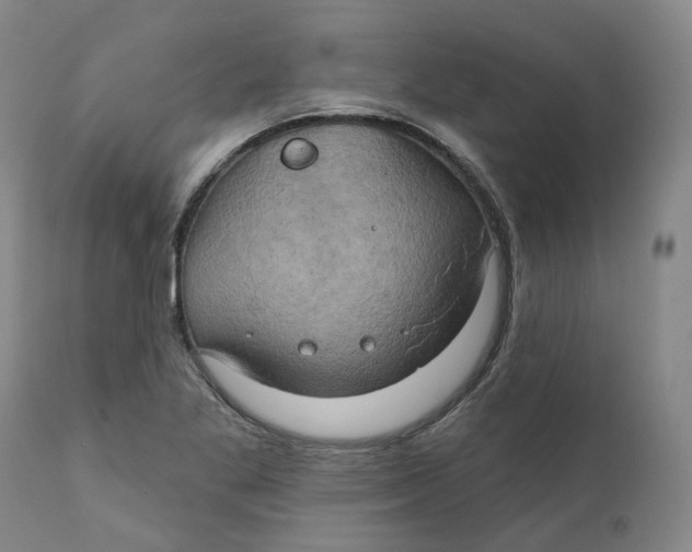 X0000111241269200907231519