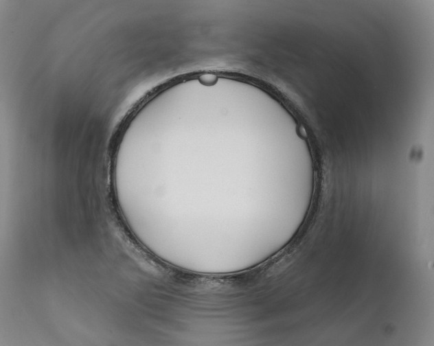 X0000111241270200907231519