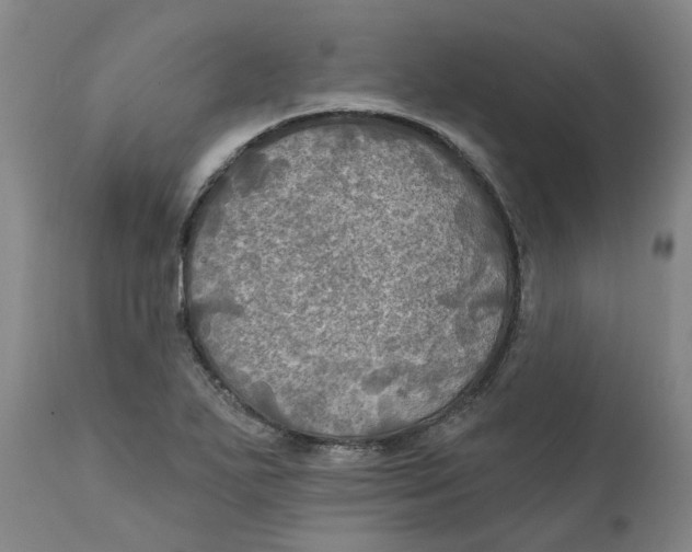 X0000111241271200907231519