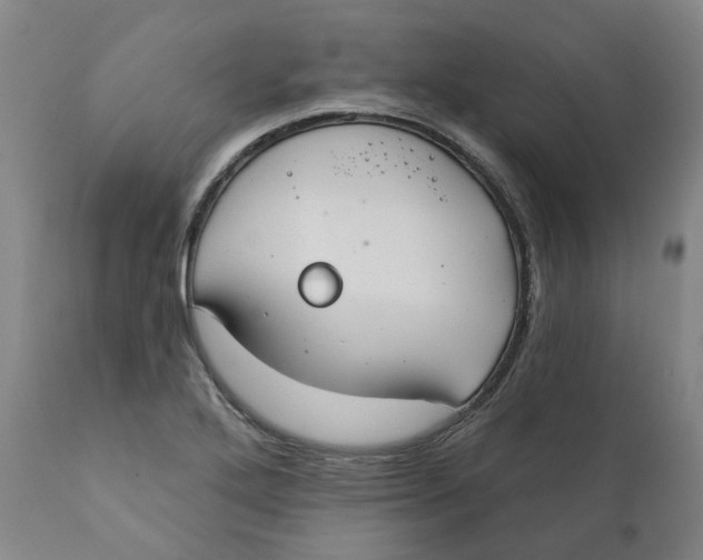 X0000111241272200907231519