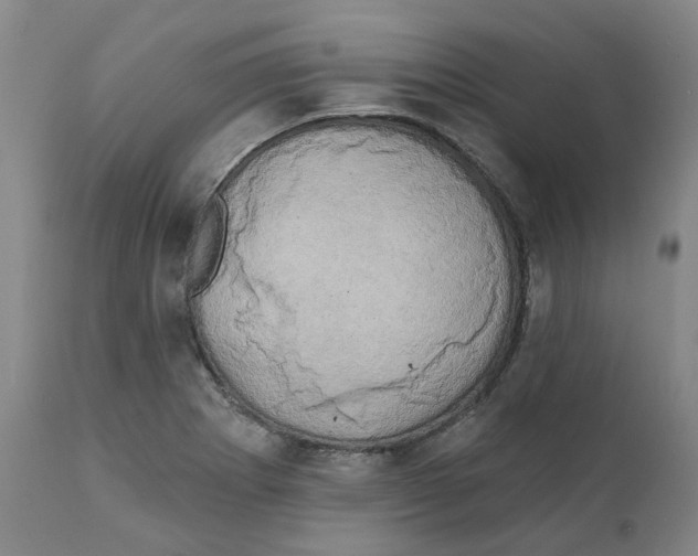 X0000111241273200907231519