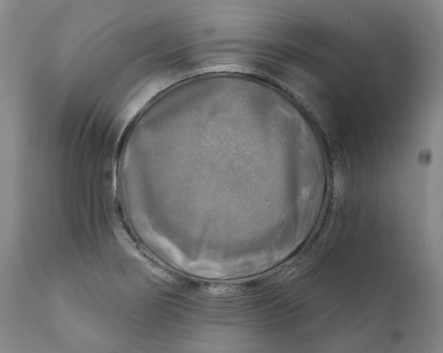 X0000111241274200907231519