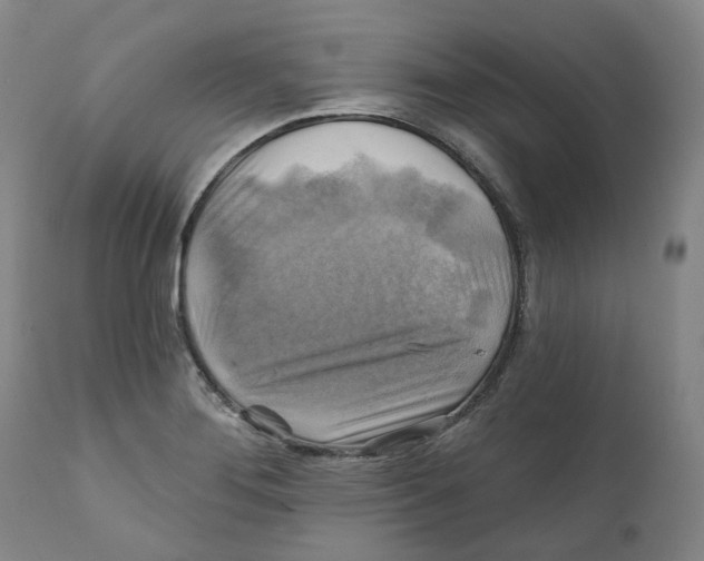 X0000111241276200907231519