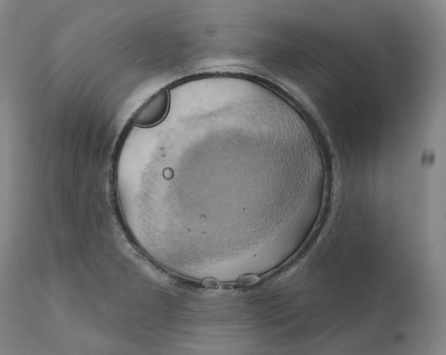 X0000111241277200907231519