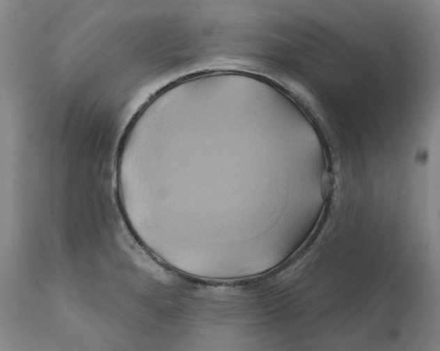 X0000111241280200907231519