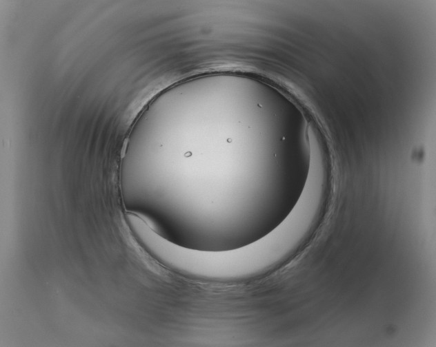 X0000111241281200907231519