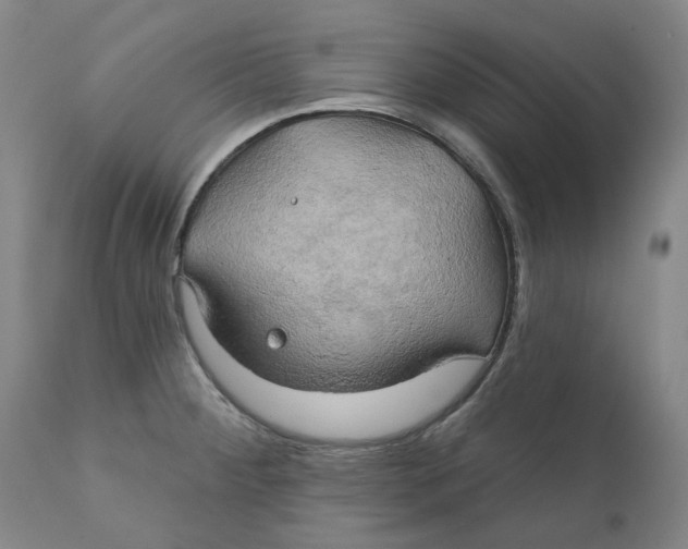 X0000111241284200907231519