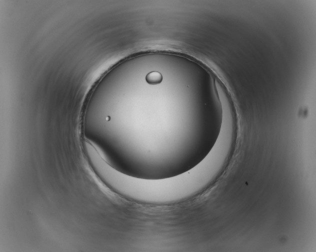 X0000111241285200907231519