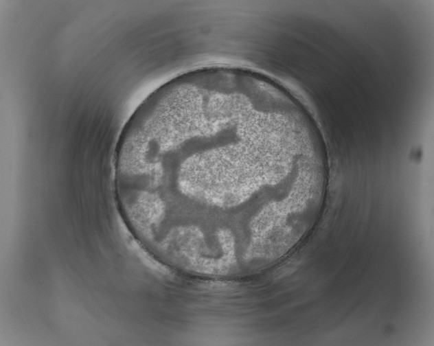 X0000111241287200907231519