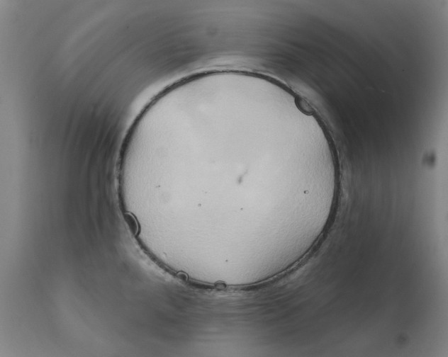 X0000111241288200907231519