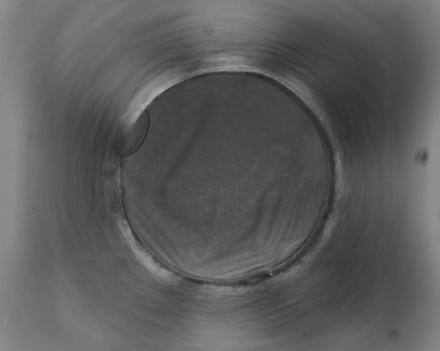 X0000111241289200907231519