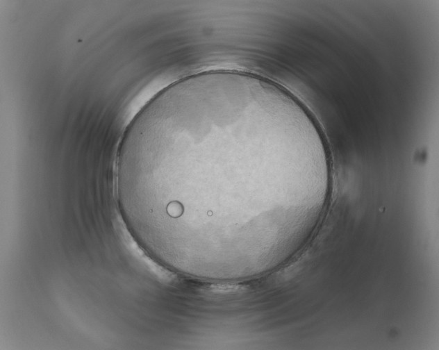 X0000111241290200907231519