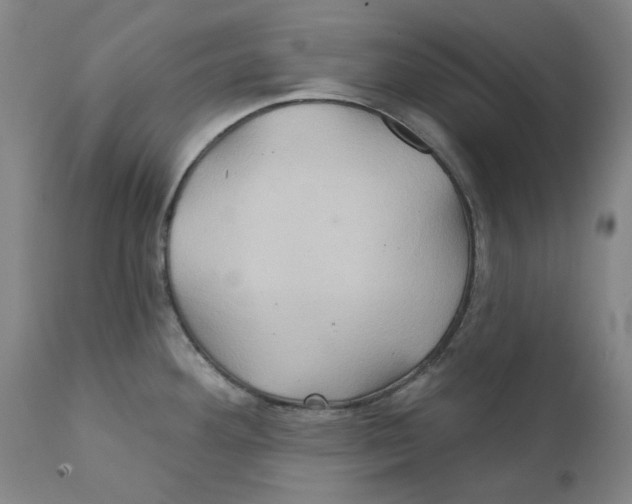 X0000111241292200907231519