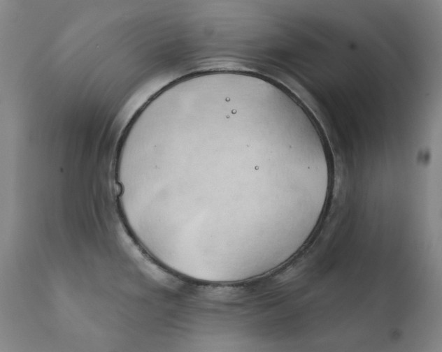 X0000111241293200907231519