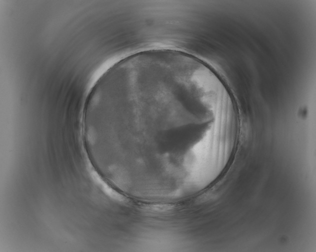 X0000111241294200907231519