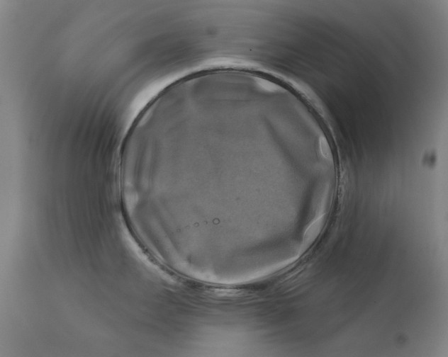 X0000111241295200907231519