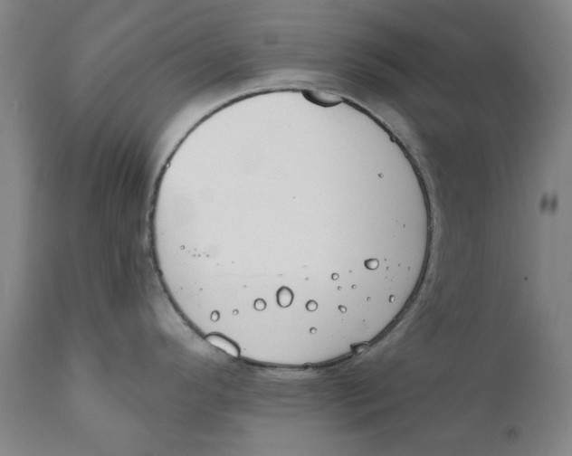 X0000111241296200907231519