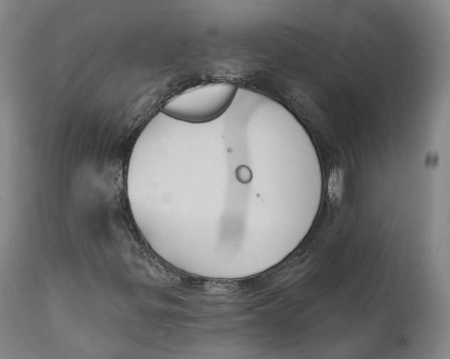 X0000111241299200907231518