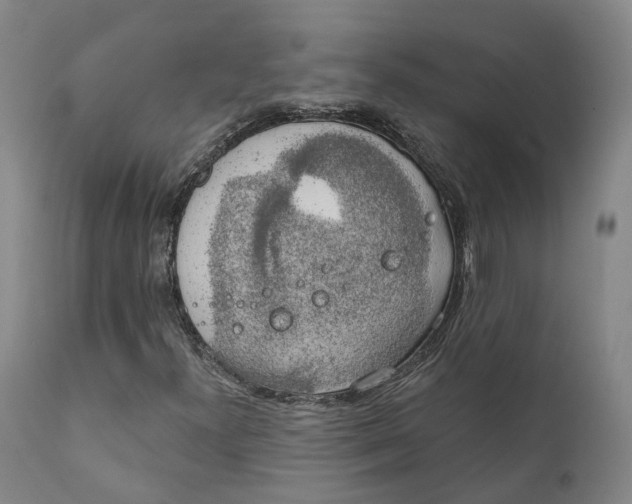 X0000111241300200907231518