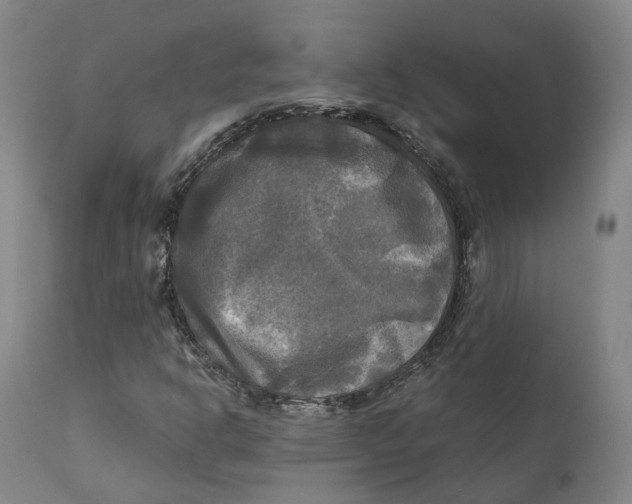 X0000111241302200907231519