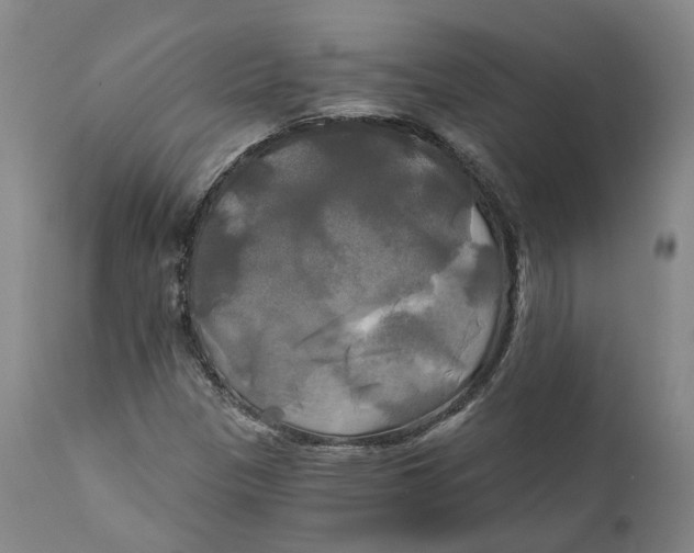 X0000111241305200907231519