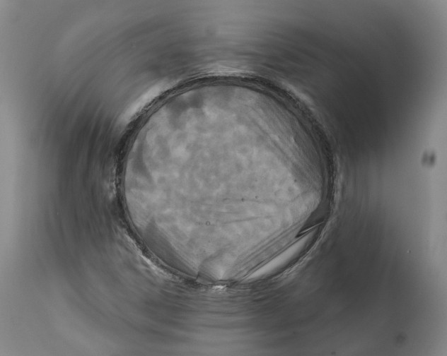 X0000111241306200907231519